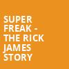 Super Freak The Rick James Story, North Charleston Performing Arts Center, North Charleston