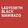 Ladysmith Black Mambazo, Charleston Music Hall, North Charleston
